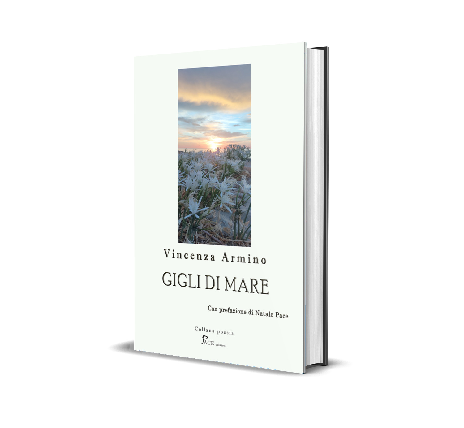 GIGLI DI MARE